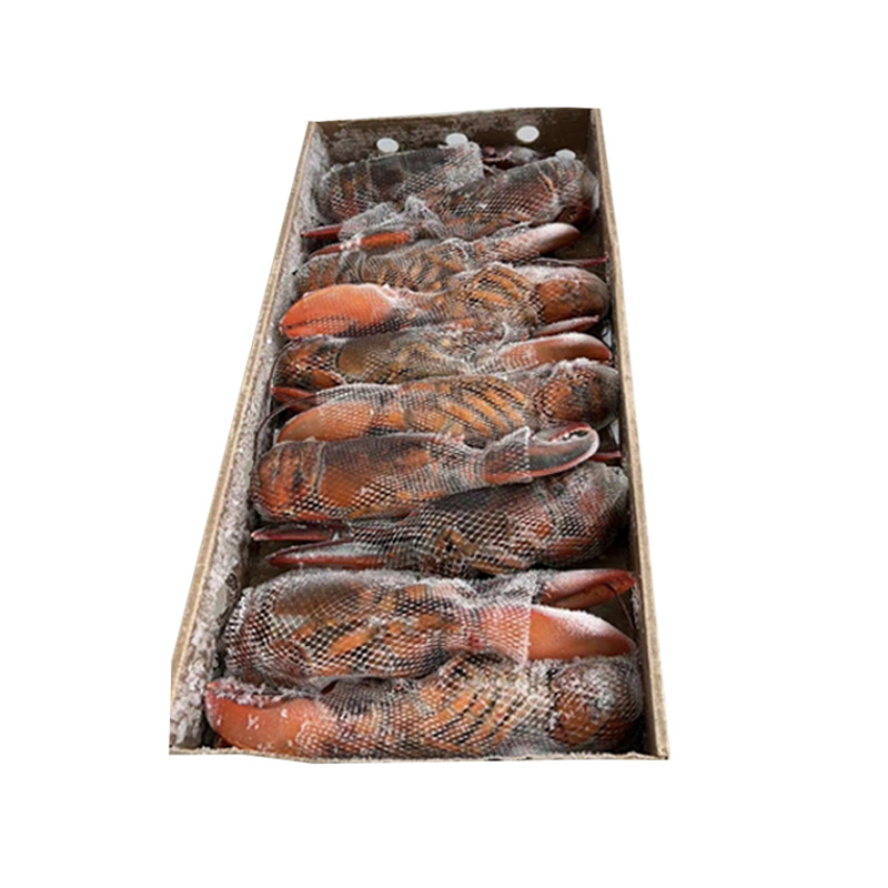 ASTICE AMERICANO 350/400 5KG 波士顿龙虾
